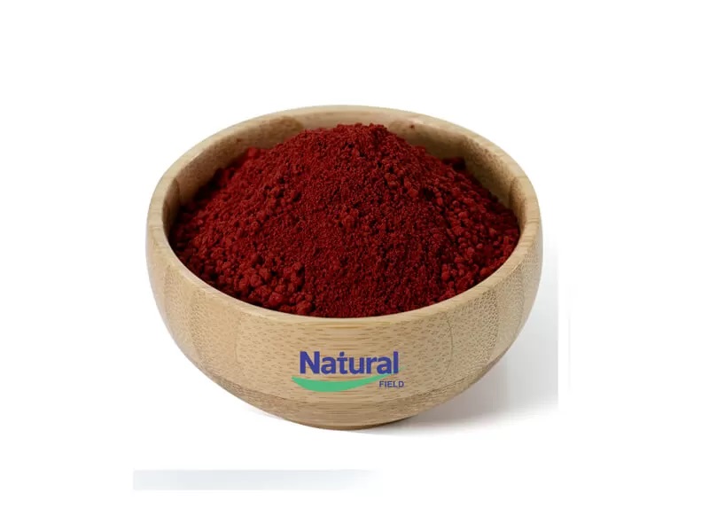 O pó PQQ pode atrasar o envelhecimento do cérebro?