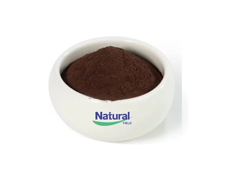 Pygeum Africanum Powder: Guardando a saúde da próstata masculina
