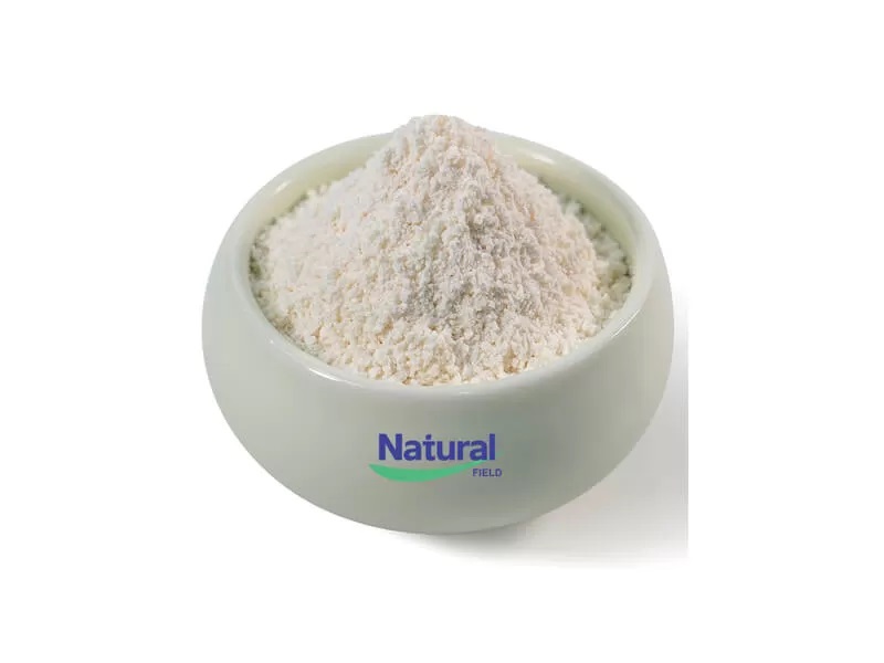 Benefícios lipossômicos da glutationa: por que ela supera o GSH regular