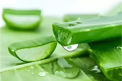 A introdução de Aloin