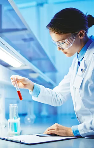 Certificação internacional autorizada, rigoroso controle de qualidade