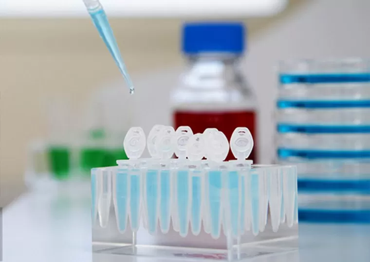 Tela de matéria-prima