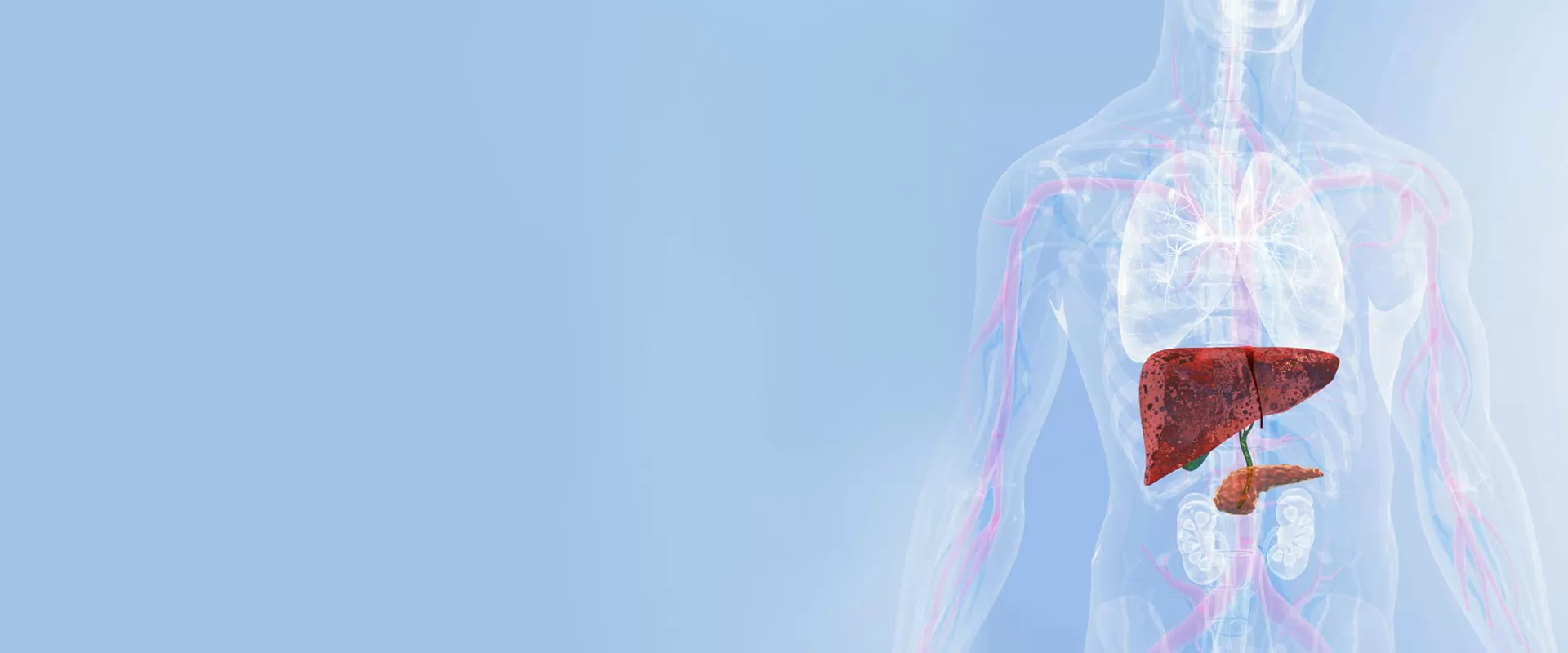 Proteção do fígado