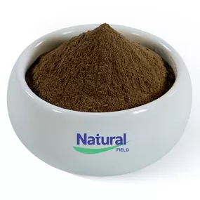 Extrato de Bacopa Monniera em pó