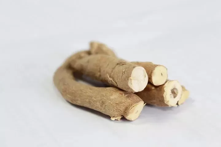 south african devils claw