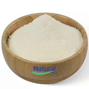 Mononucleotídeo β-nicotinamida