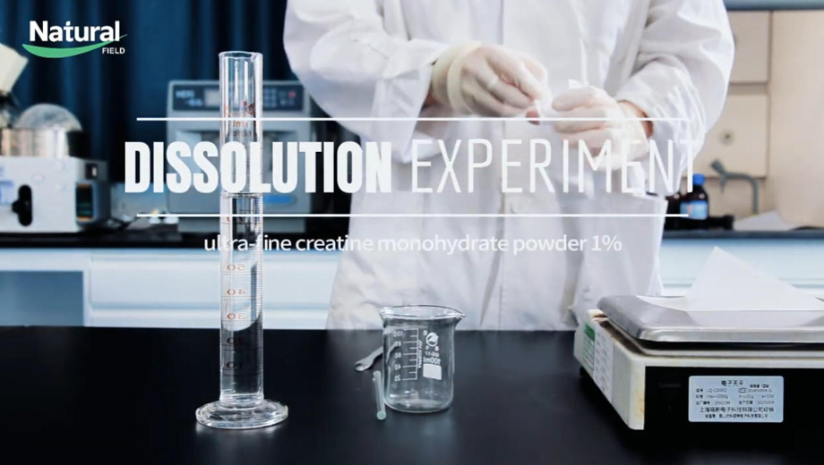 Fabricante de Creatina Monohidratada Micronizada a Granel | Tamanho de Partícula Fino e Desempenho de Dispersão Aprimorado