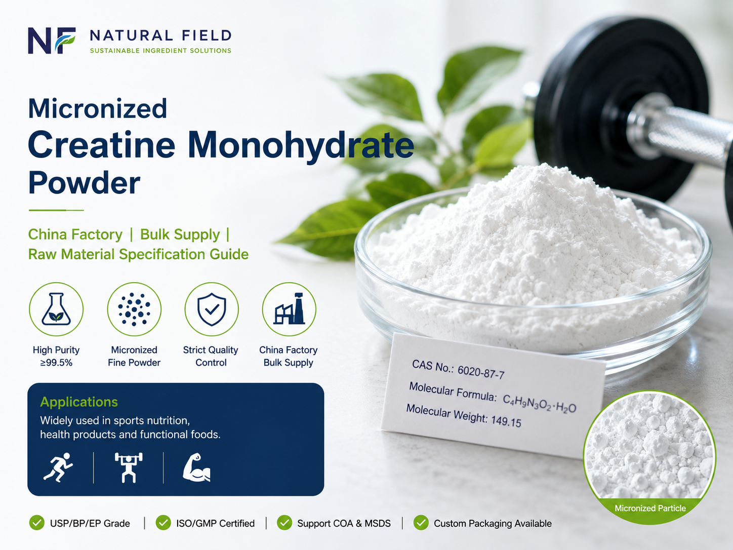 Creatina Monohidratada Micronizada em Pó: Fornecimento a Granel de Fábrica na China e Guia de Especificações da Matéria-Prima