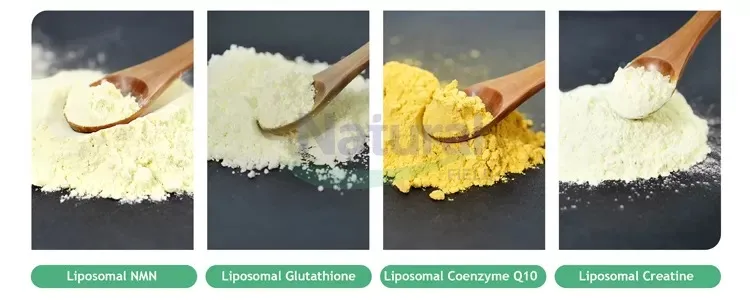 O que é creatina lipossomal em pó?