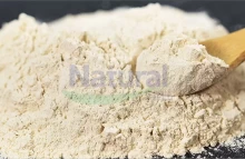 Por que escolher a Natural Field para o seu pó de creatina lipossomal?