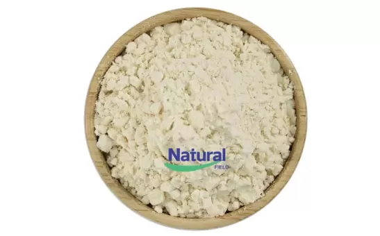 A Ciência dos Suplementos Lipossomais de NMN e NAD+