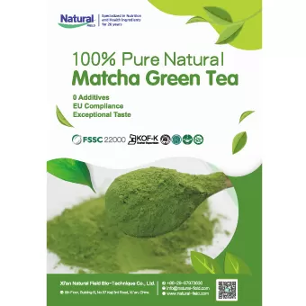 100% Puro Natural Matcha Chá Verde