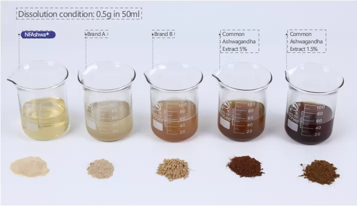 Respondendo à Chamada Nacional: Foco na Saúde Humana!