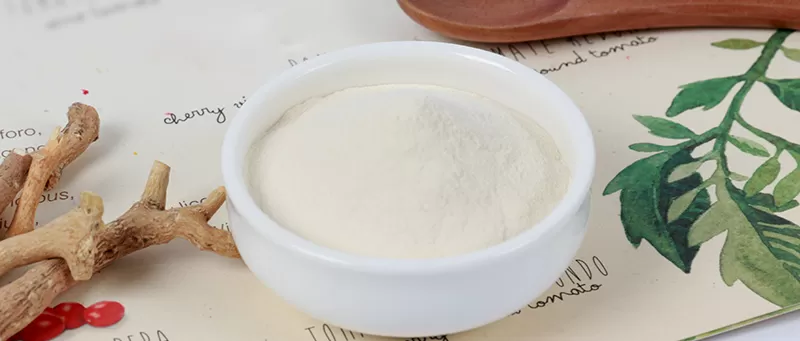  2025 Fórum de Inovação de Ingredientes Naturais e Produtos de Saúde Anúncio 