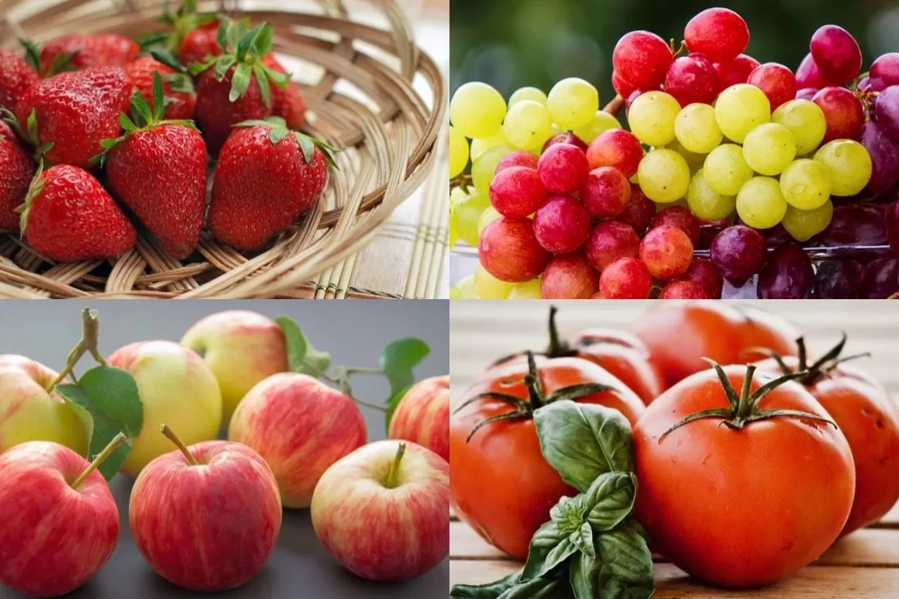 Multiple Health Benefits of Fisetin Multiple Health Benefits of Fisetin