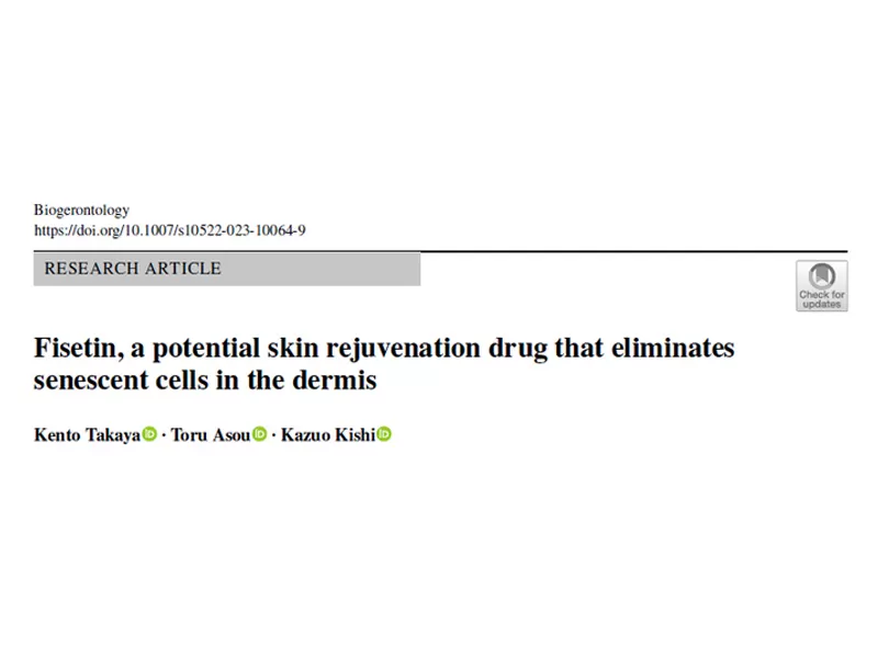 Fisetin: eliminação direcionada de células senescentes na camada dérmica, desbloqueando novas possibilidades para o antienvelhecimento da pele