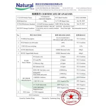 Apigenina Lipossomal