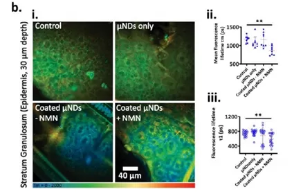 NMN: Taxa de absorção da pele atinge 86,3% em 24 horas