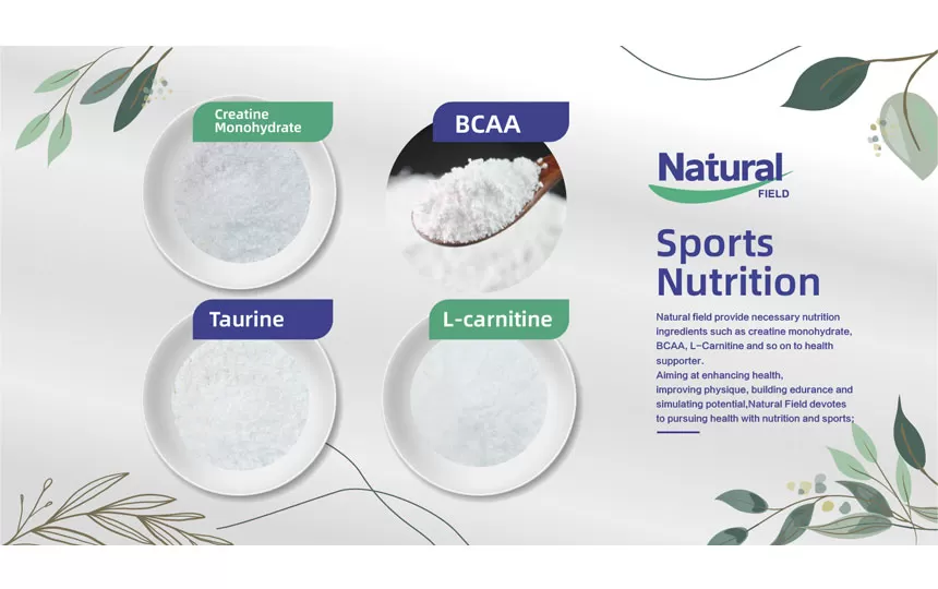 Campo natural, um dos principais fabricantes da China de Suplemento de Nutrição Esportiva Ingredientes Matéria-prima