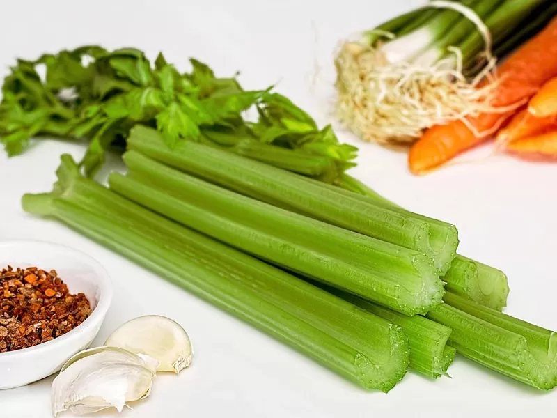 Nova descoberta na apigenina flavonóide dietética: avanço no mecanismo anti-envelhecimento, proteção multifuncional à saúde