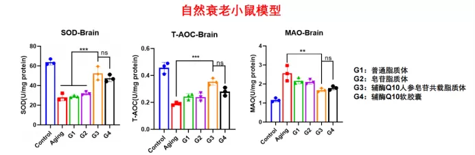 Compelling Results in the Natural Aging Model Compelling Results in the Natural Aging Model