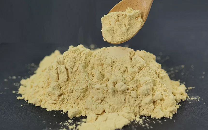 O segredo para se manter saudável e energético: impulsionando sua imunidade