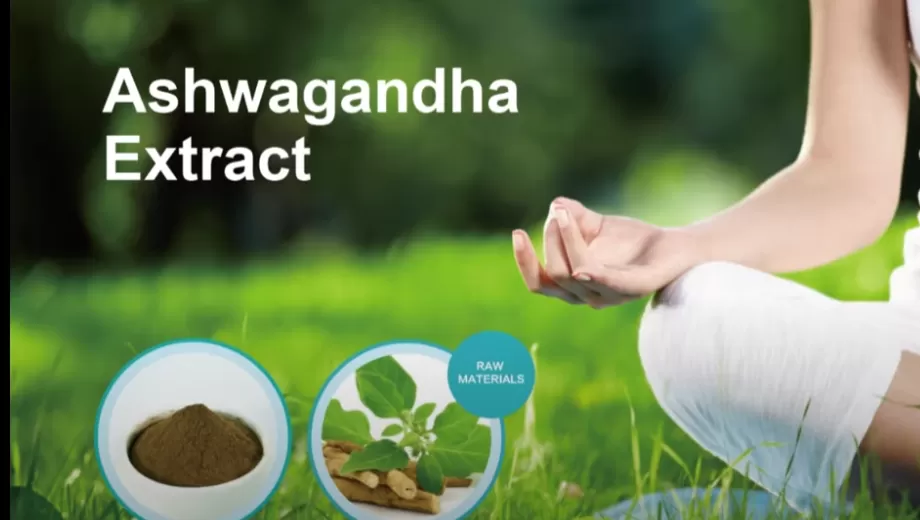 Extrato de Ashwagandha