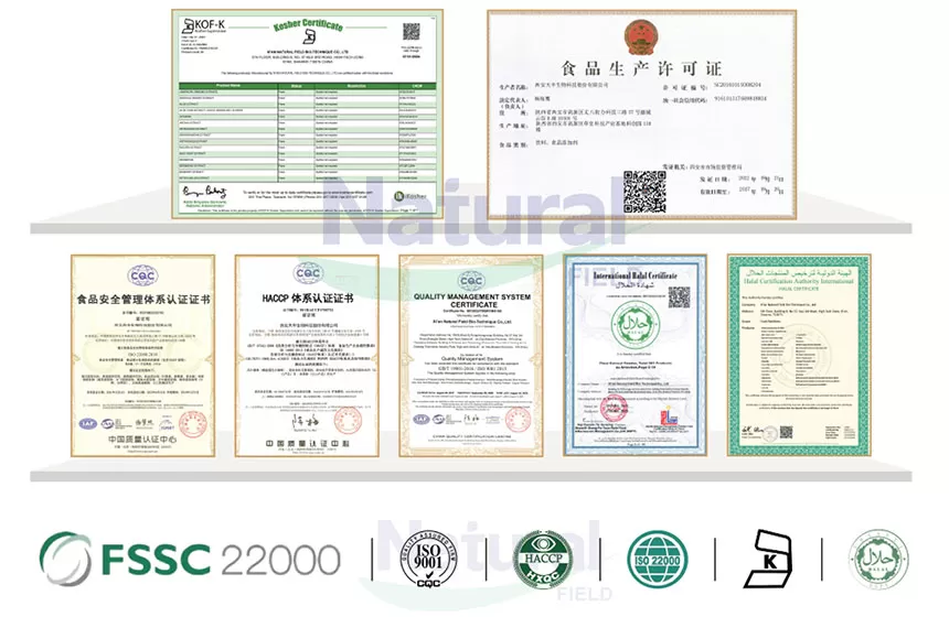 Por que escolher o campo natural como seu fornecedor de pó monohidratado de creatina?
