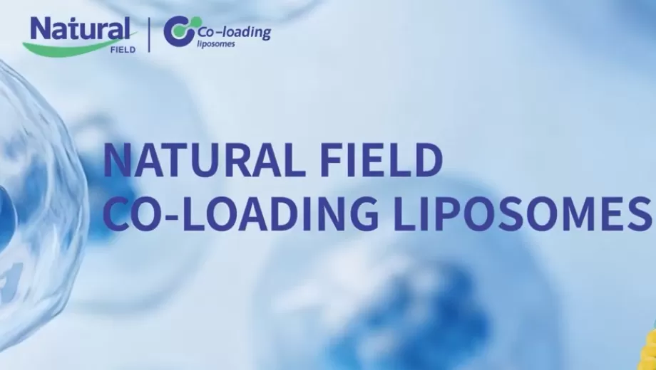 Duplique o poder: Tecnologia lipossomal de co-carregamento