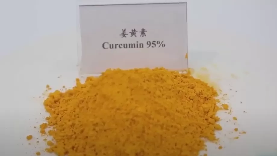 Benefícios da curcumina: ciência, dicas de saúde e escolha os melhores suplementos