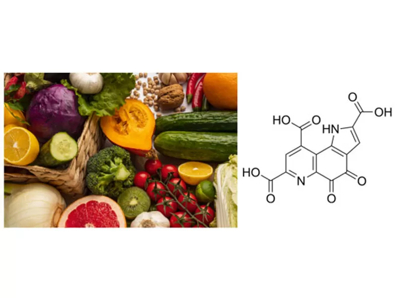 Endosso do Double Top Journal! PQQ reconhecido como um cognitivo antienvelhecimento