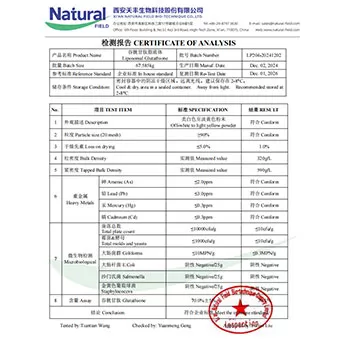 NF-COA Glutationa Lipossomas 70%