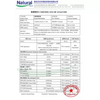 NF-COA Extrato de Chá Verde (EGCG)