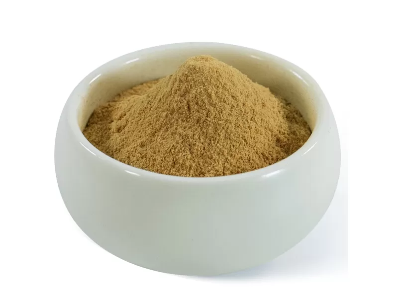 extrato de Hericium erinaceus