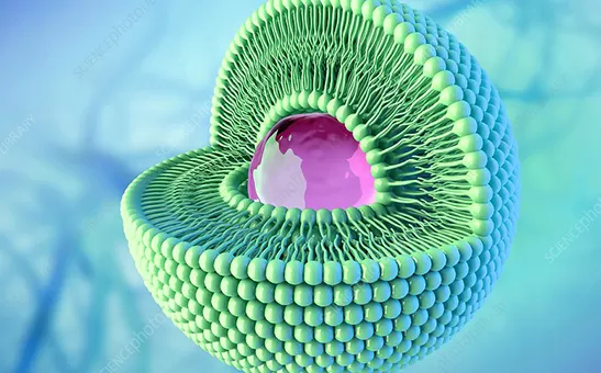 Tecnologia Lipossomal Explicada: Dos Desafios de Biodisponibilidade à Fabricação Industrial de Pó Lipossomal