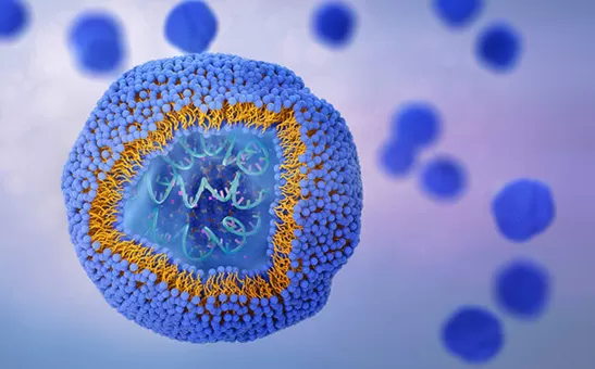 Os 10 principais fabricantes lipossômicos do Reino Unido