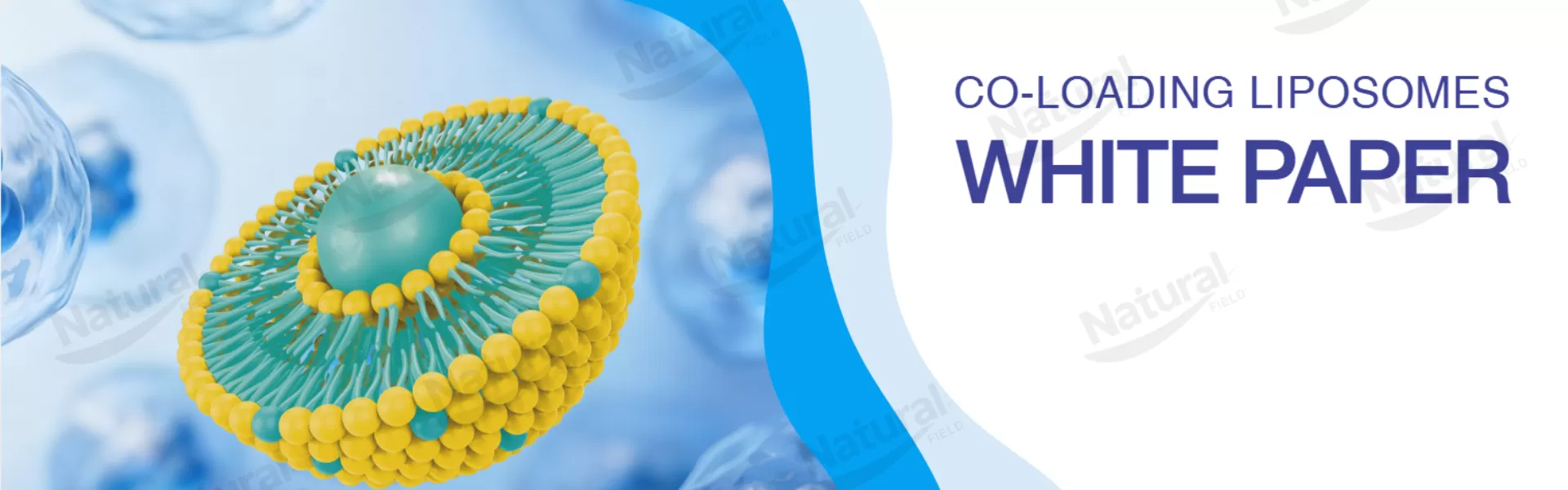 Explore Nosso White Paper Científico