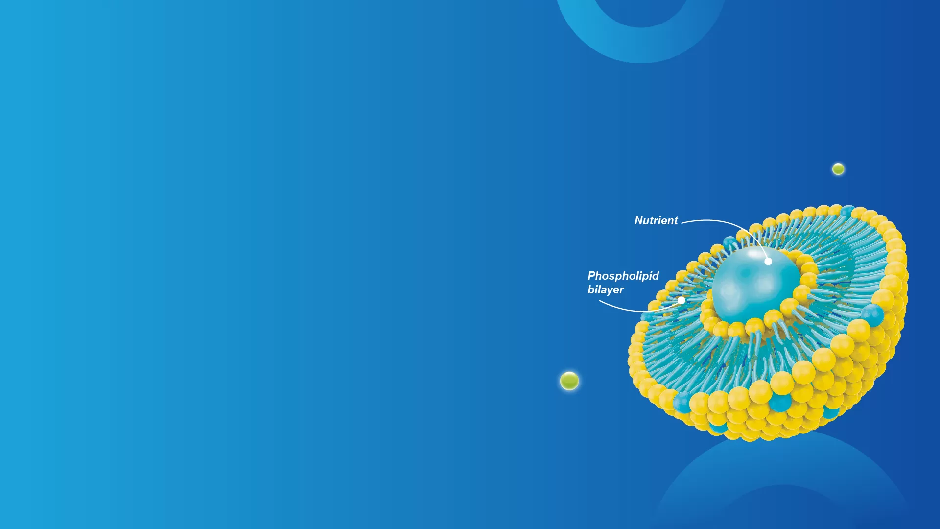 Tecnologia Lipossoma