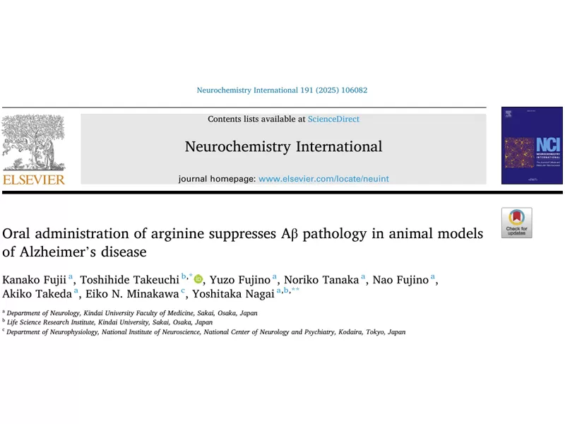 Procurando um ingrediente seguro e eficaz para a saúde do cérebro? Arginina: apoiado pela ciência, econômico, resolvendo seus principais pontos de dor do produto!