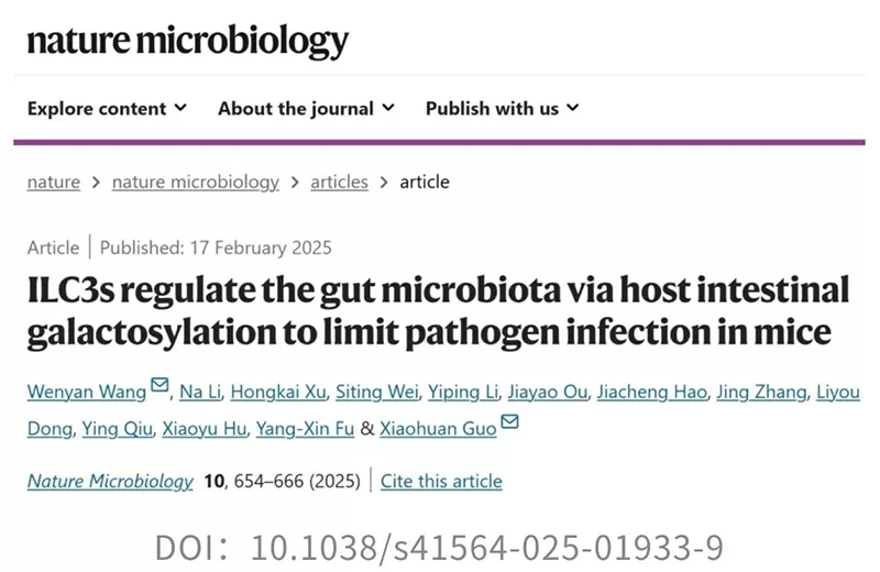 Soprando a mente: bactérias probióticas Akk aids patógenos sob condições imunológicas específicas