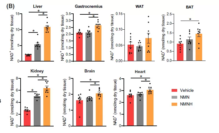 UTHPEAK<ALIMT >™</ALIMT> nmnh liposomal UTHPEAK<ALIMT >™</ALIMT> nmnh liposomal