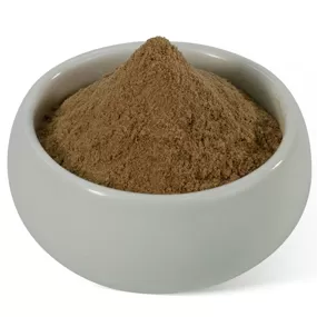 Extrato de Cogumelo Shiitake em Pó
