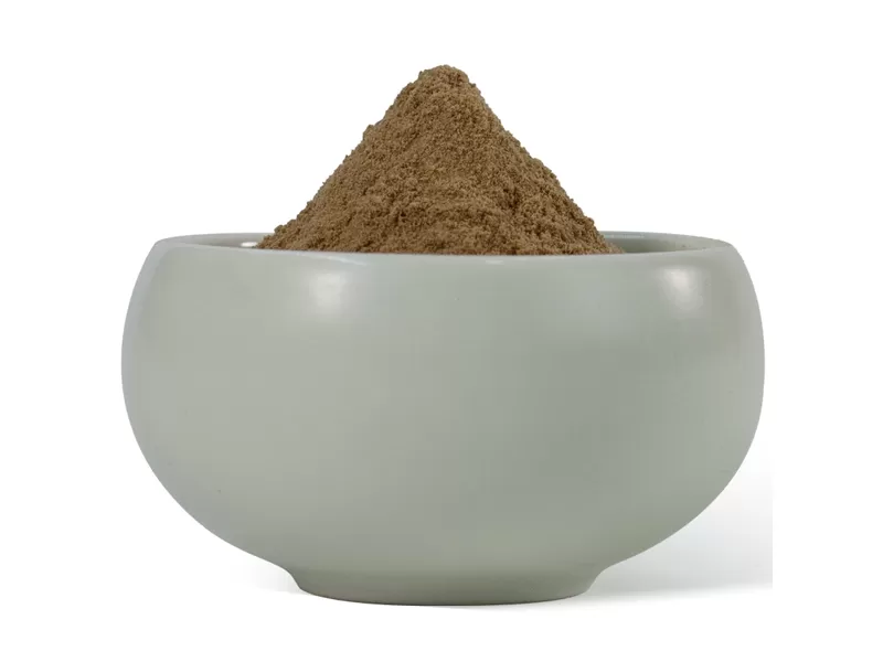 extrato de cogumelo shiitake orgânico