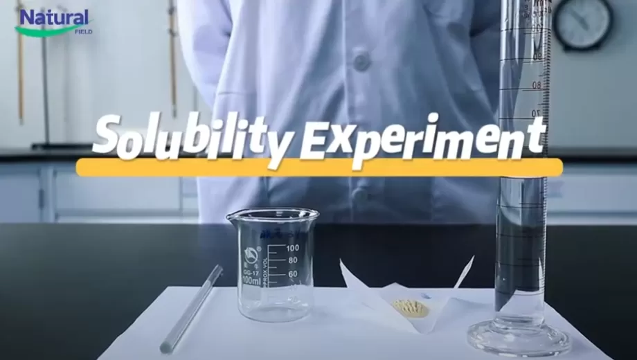 Experimento de solubilidade de NF Ashwa Ashwagandha extrato em pó