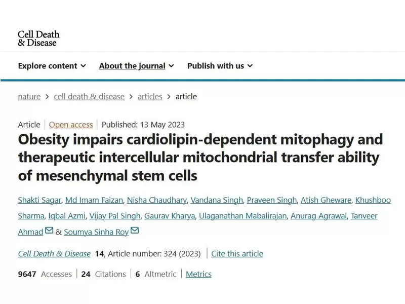 A batalha contra o envelhecimento: como o PQQ rejuvenesce a juventude celular