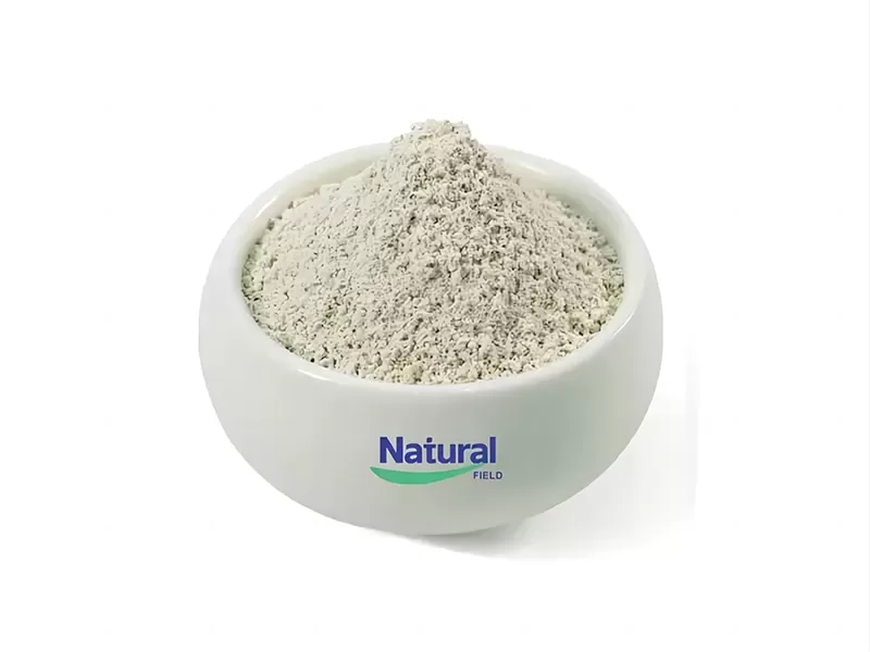 Chá de videira: o tesouro natural da dihidromicetina (DHM)