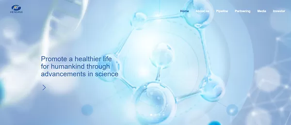 Jiangsu Hengrui Pharmaceuticals Co., Ltd Jiangsu Hengrui Pharmaceuticals Co., Ltd