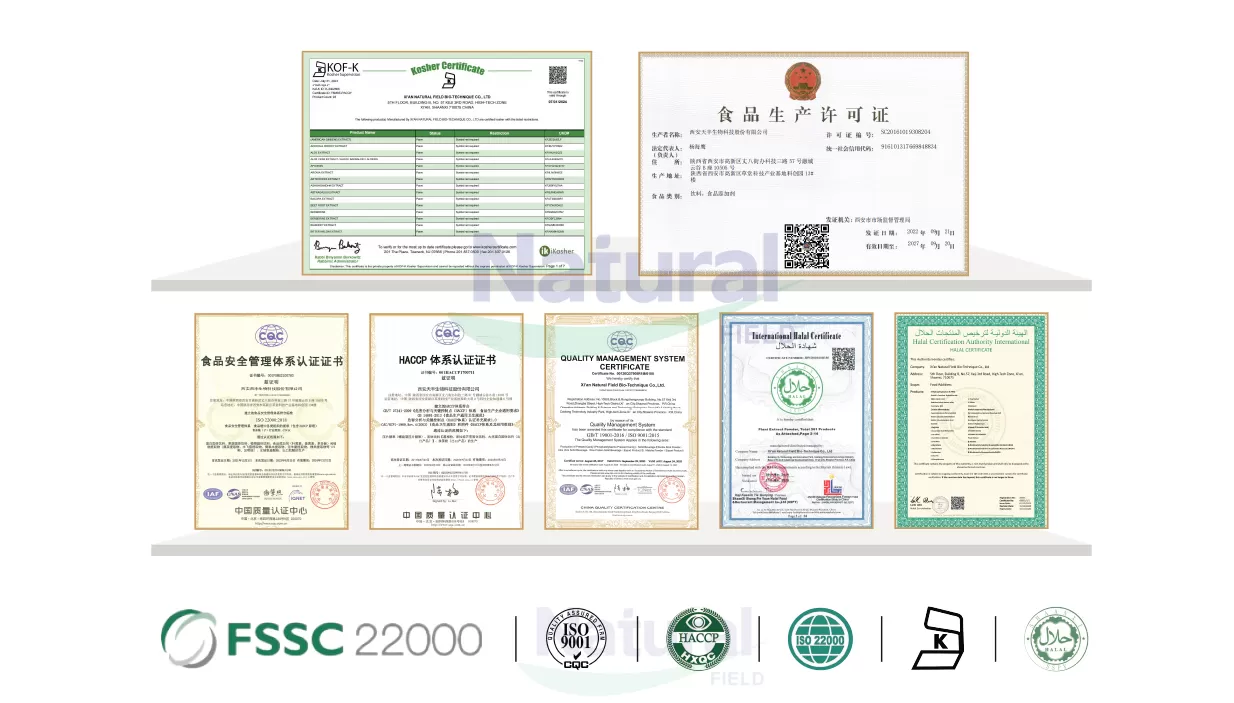 Por que nos choos como seu fornecedor confiável de extrato de Curcuma Longa?